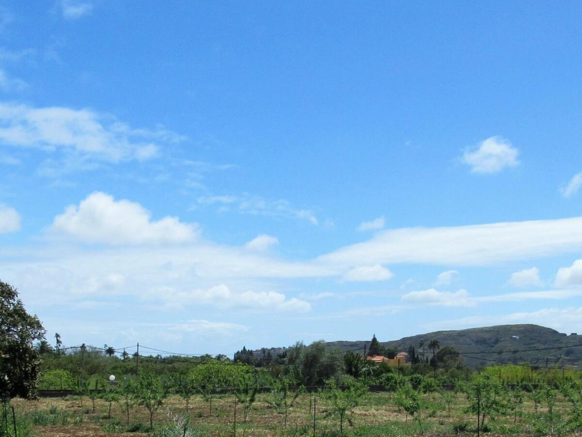 Casa Rural El Alpendre Vega de San Mateo Εξωτερικό φωτογραφία