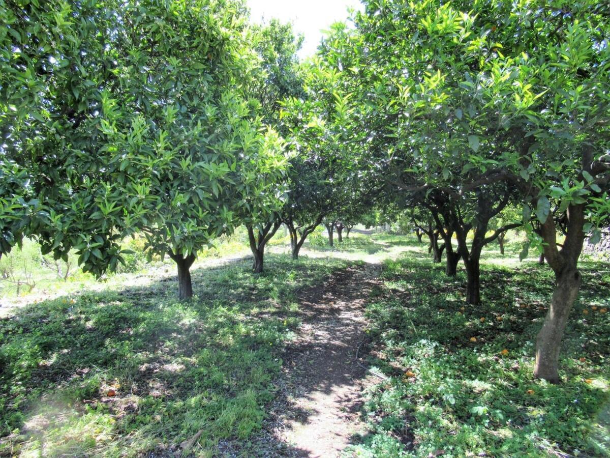 Casa Rural El Alpendre Vega de San Mateo Εξωτερικό φωτογραφία