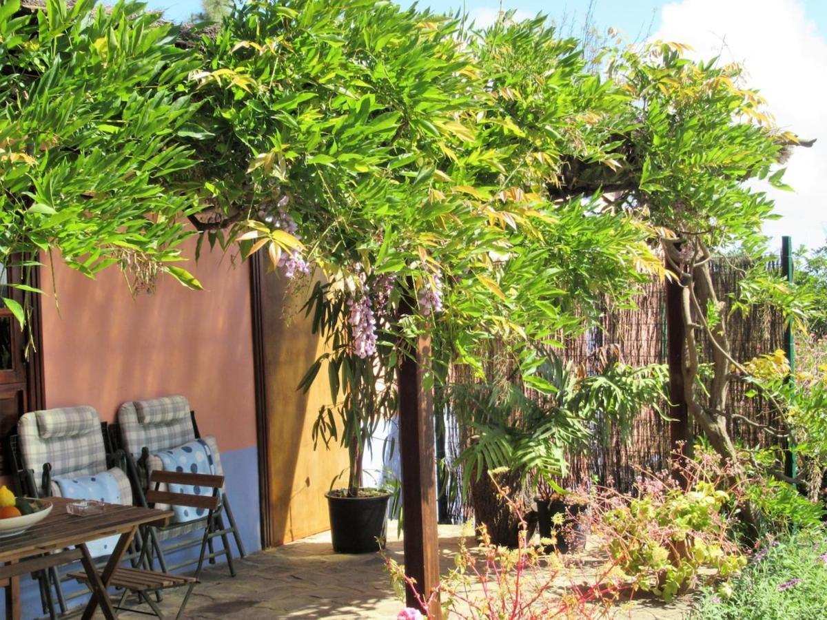 Casa Rural El Alpendre Vega de San Mateo Εξωτερικό φωτογραφία
