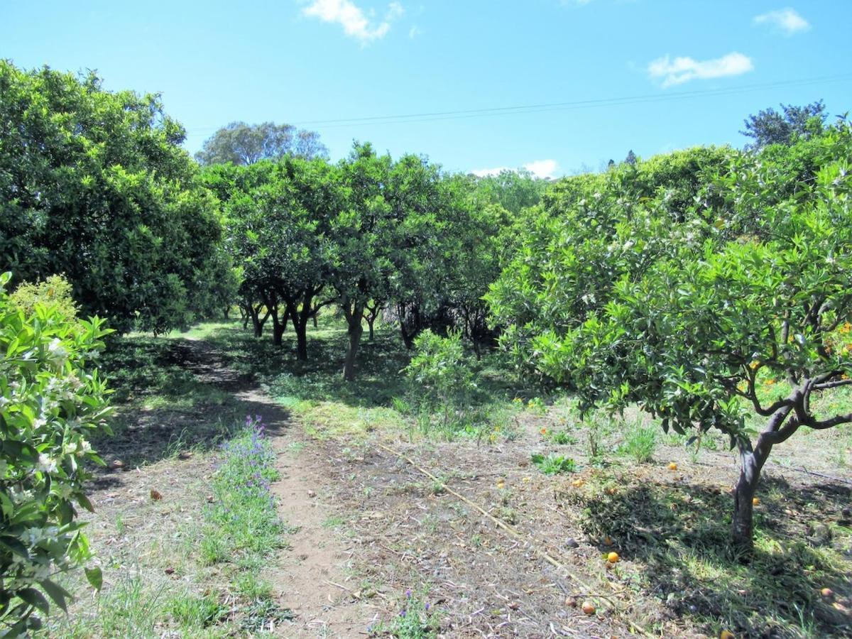 Casa Rural El Alpendre Vega de San Mateo Εξωτερικό φωτογραφία