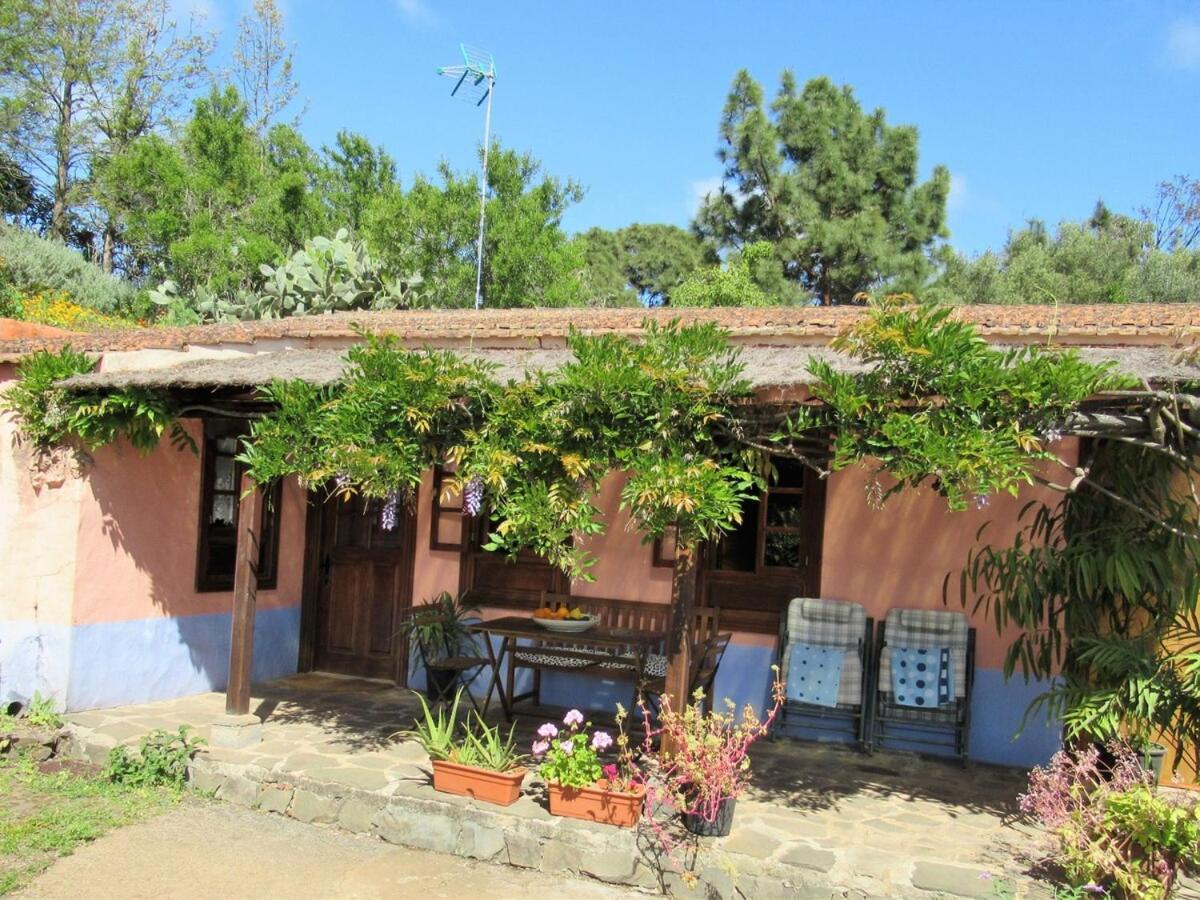 Casa Rural El Alpendre Vega de San Mateo Εξωτερικό φωτογραφία