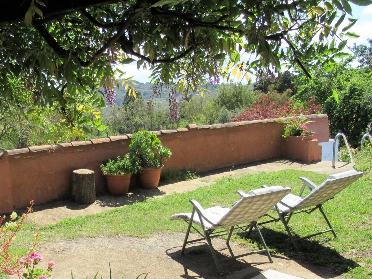 Casa Rural El Alpendre Vega de San Mateo Εξωτερικό φωτογραφία